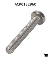 AGCO ACP0152960 Винт с овальной головкой