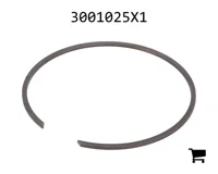 AGCO 3001025X1 Стопорное кольцо