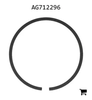 AGCO AG712296 Поршневое кольцо гидромотора колеса