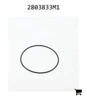 AGCO 2803833M1 Уплотнительное кольцо