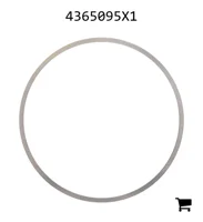 AGCO 4365095X1 Регулировочная шайба