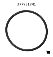 AGCO 3779317M1 Уплотнительное кольцо