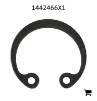 AGCO 1442466X1 Стопорное кольцо