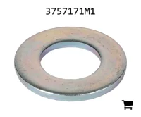 AGCO 3757171M1 Шайба