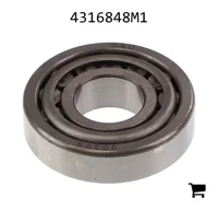 AGCO 4316848M1 Подшипник