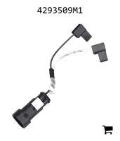 AGCO 4293509M1 Жгут