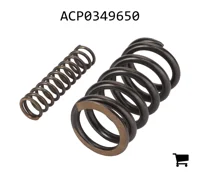 AGCO ACP0349650 Комплект пружин