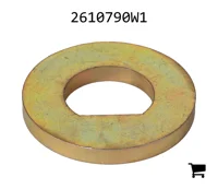 AGCO 2610790W1 Шайба