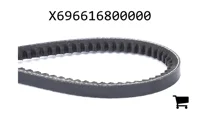 AGCO X696616800000 Ремень клиновой
