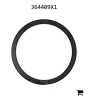 AGCO 364409X1 Кольцо
