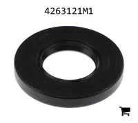 AGCO 4263121M1 Уплотнение