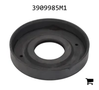 AGCO 3909985M1 Цилиндр