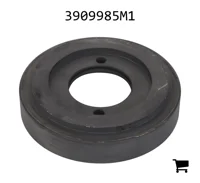 AGCO 3909985M1 Цилиндр