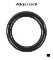AGCO ACW2078070 Уплотнительное кольцо