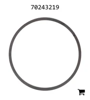 AGCO 70243219 Кольцо