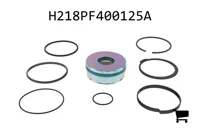 AGCO H218PF400125A Комплект запчастей