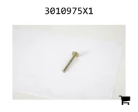 AGCO 3010975X1 Винт с круглой головкой