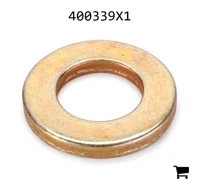 AGCO 400339X1 Плоская шайба