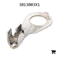 AGCO 3013003X1 Коуш