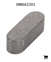 AGCO 3006623X1 Параллельный шпоночный паз