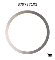 AGCO 3797371M1 Регулировочная шайба