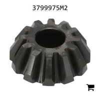AGCO 3799975M2 Шестерня дифференциала