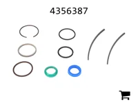 AGCO 4356387 Ремкомплект