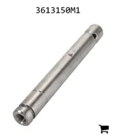 AGCO 3613150M1 Вал