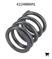AGCO 4224006M1 Пружина