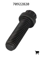 AGCO 70922820 Винт