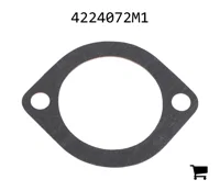AGCO 4224072M1 Прокладка