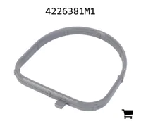 AGCO 4226381M1 Уплотнение