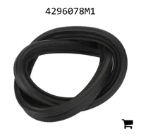 AGCO 4296078M1 Уплотнение