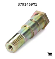 AGCO 3791469M1 Палец вилки