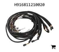 AGCO H916811210020 Комплект кабелей