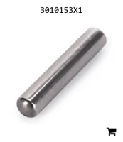 AGCO 3010153X1 Игольчатый подшипник