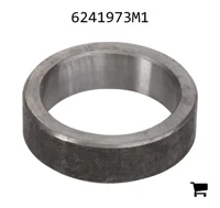 AGCO 6241973M1 Воротник