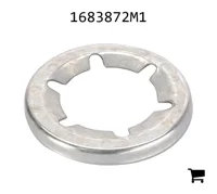 AGCO 1683872M1 Гайка