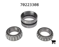 AGCO 70223308 Конический роликовый подшипниковый узел