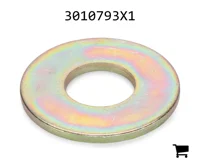 AGCO 3010793X1 Шайба