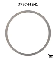 AGCO 3797445M1 Регулировочная шайба