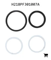 AGCO H218PF301007A Ремкомплект