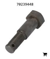 AGCO 70239448 Болт