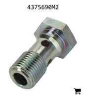 AGCO 4375690M2 Болт банджо