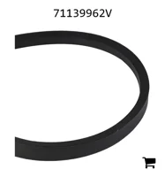 AGCO 71139962V Ремень