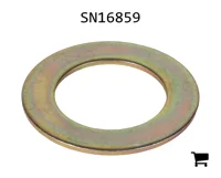 AGCO SN16859 Шайба
