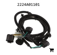 AGCO 2224A01101 Жгут