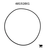 AGCO 401920X1 Уплотнительное кольцо