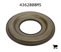 AGCO 4362808M5 Поршень