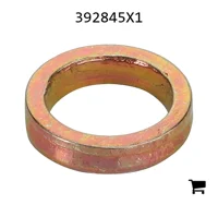 AGCO 392845X1 Плоская шайба